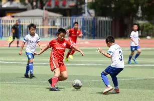 周柯宇父辈,股权遭冻结,深扒周柯宇,天博体育平台,天博体育官方网站,天博体育登录入口,天博体育app下载