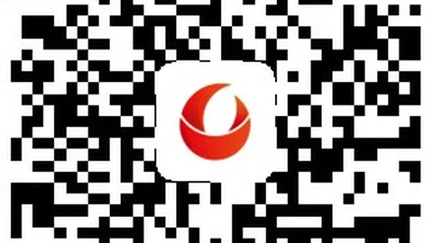 夺冠成本天博体育官网：一窥总冠军背后的花费真相